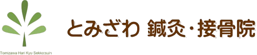 とみざわ鍼灸整骨院